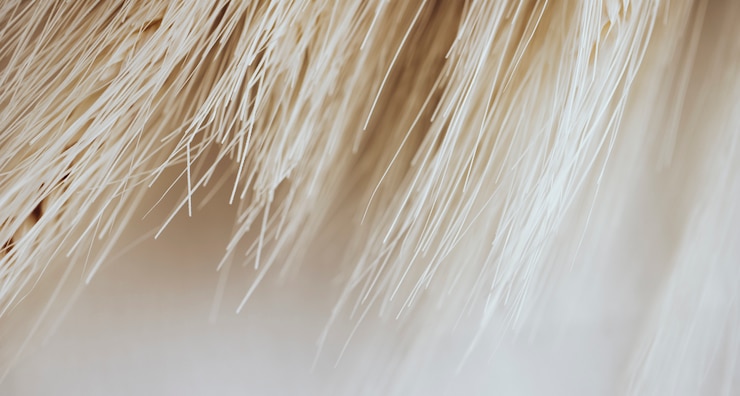 Kostenlose Foto textur vieler lichtfasern
