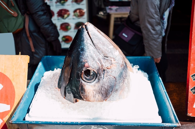 Kostenloses Foto thunfischkopf im fischmarkt