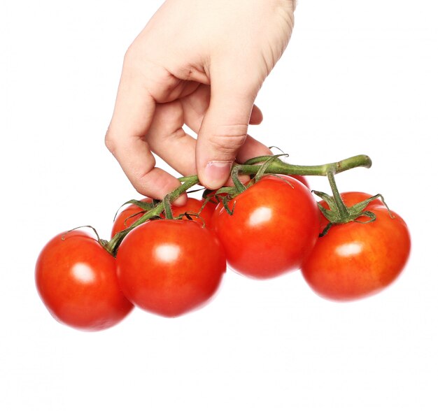 Tomaten über weiße Fläche