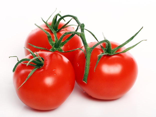 Kostenloses Foto tomaten