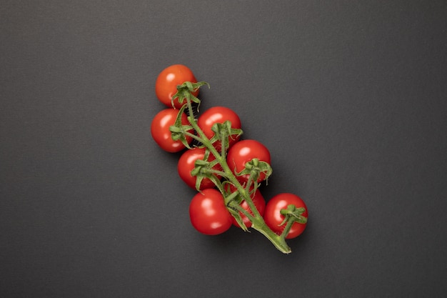 Tomatenzweig isoliert auf grau