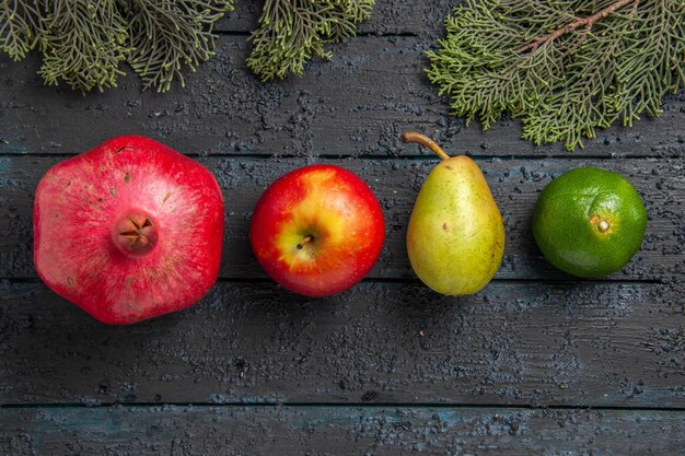 Top Nahaufnahme Früchte auf Tisch Granatapfel Apfel Birne Limette neben Fichtenzweigen