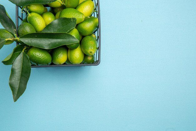 Top Nahaufnahme Zitrusfrüchte Korb der appetitlichen grünen Zitrusfrüchte mit Blättern