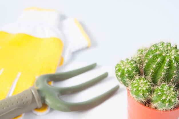 Topf Kaktus und Gartengeräte isoliert auf weißem Hintergrund