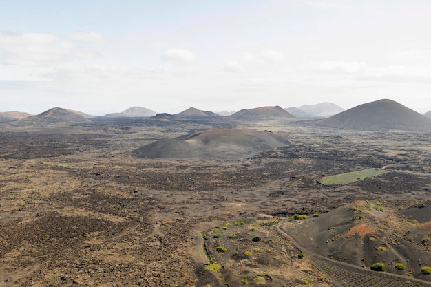 Totale des schönen Waldes und der Berge genommen durch Brummen