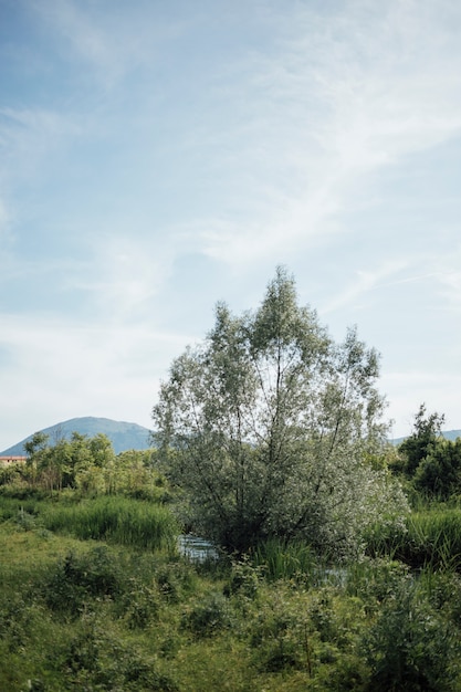 Kostenloses Foto totale flussüberquerung durch ackerland