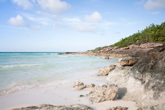 Totale wilde Strandküstenlinie