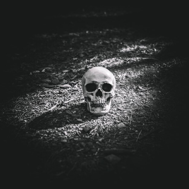 Toter belichteter Schädel gelegt auf grauen Boden