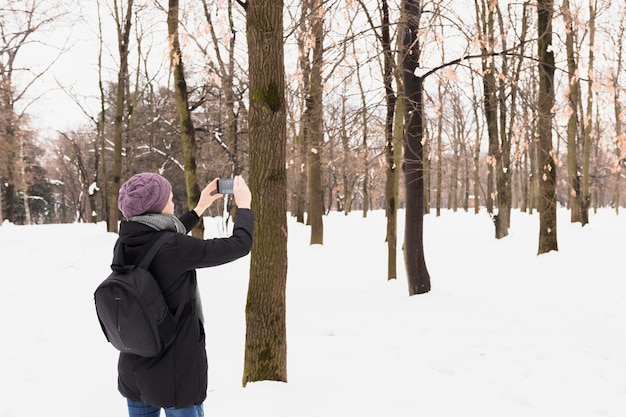 Touristische Frau, die Bild im Handy am schneebedeckten Wald in der Wintersaison gefangennimmt