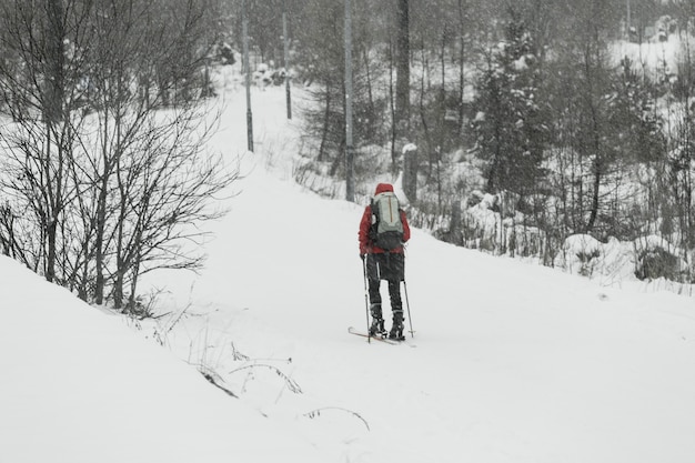 Touristisches Skifahren im Wald