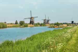 Kostenloses Foto traditionelle holländische windmühlen mit grünem gras im vordergrund, niederlande