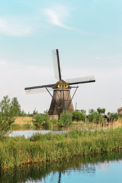Traditionelle holländische Windmühlen mit grünem Gras im Vordergrund