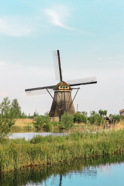 Traditionelle holländische Windmühlen mit grünem Gras im Vordergrund