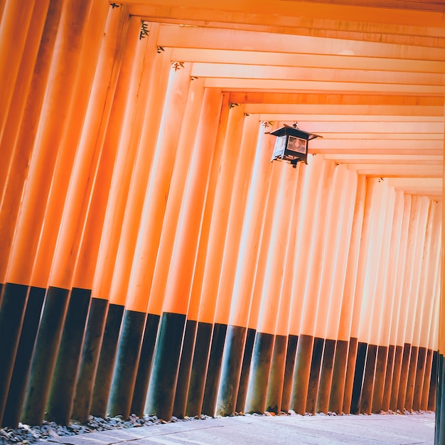 Kostenloses Foto traditionelle japanische lampe in wanderweg reihe von torii toren an