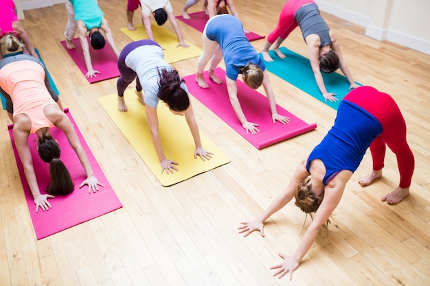 Trainer unterstützen Gruppe von Menschen mit Hund nach unten Yoga exercis