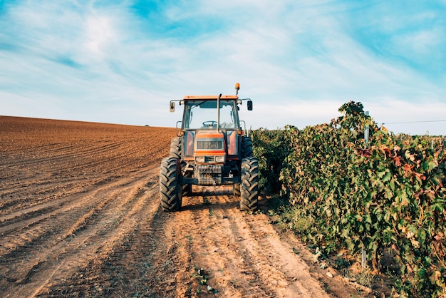 Kostenloses Foto traktor in einem weinberg