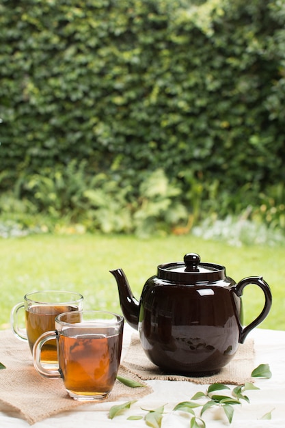 Transparenter Becher zwei Kräutertee mit Teekanne auf Tabelle im Garten