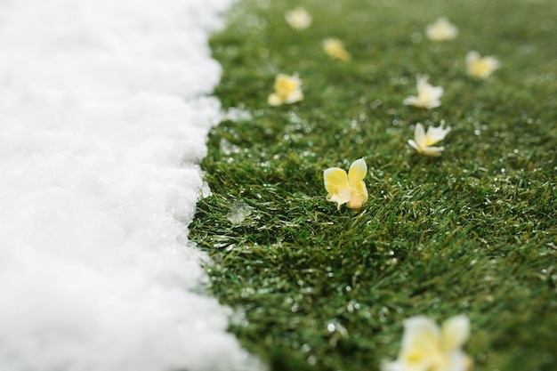 Kostenloses Foto treffen von weißem schnee und grünem gras mit blumen hautnah - zwischen winter- und frühlingskonzepthintergrund.