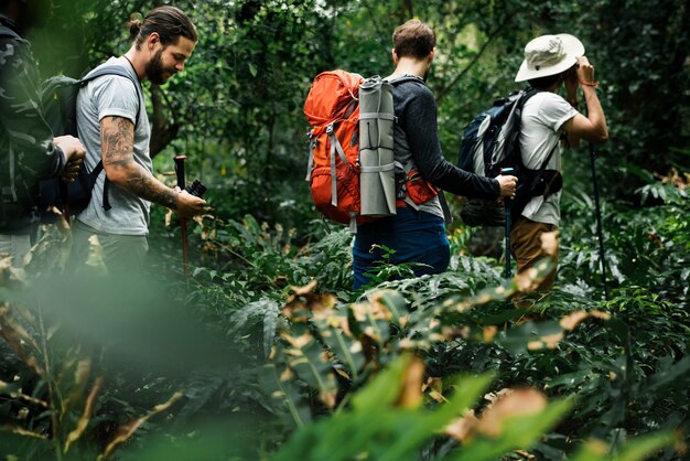 Trekking in einem Wald