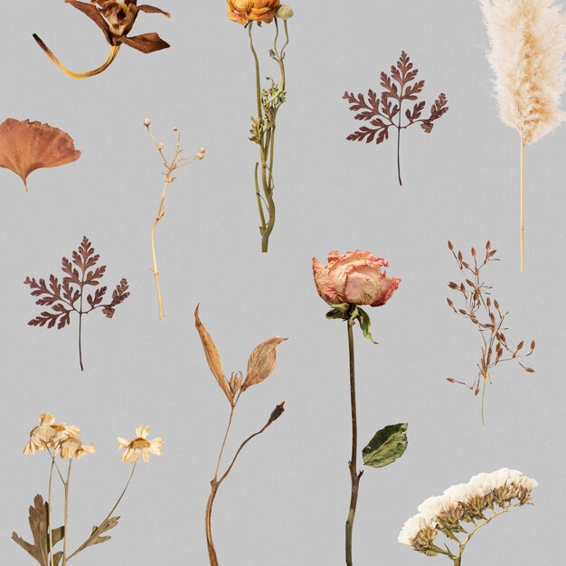 Trockenblume und Blatt gemustert