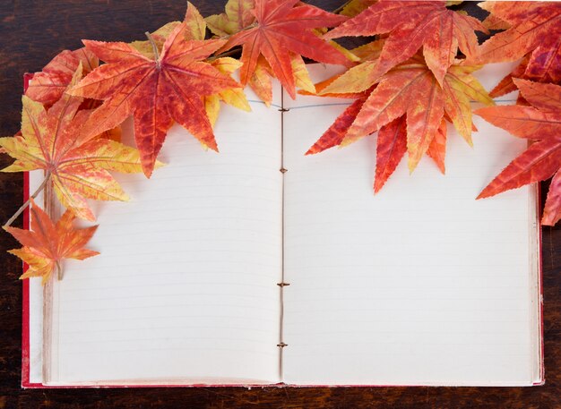 Trockene Blätter im Herbst auf ein offenes Buch