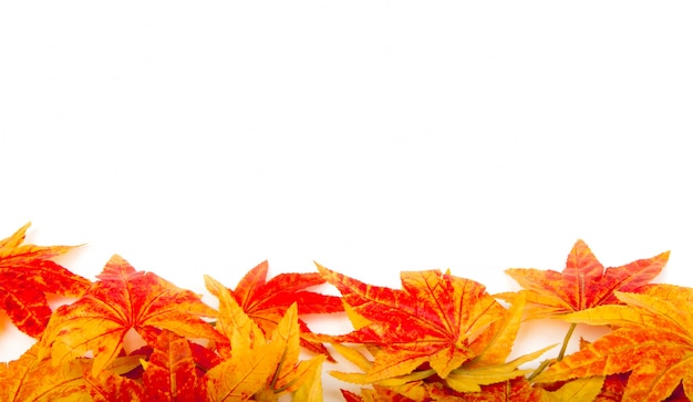 Trockene Blätter im Herbst auf einem weißen Hintergrund