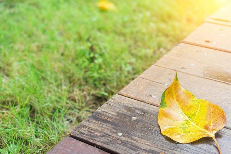 Trockene Blatt auf Holzbrettern
