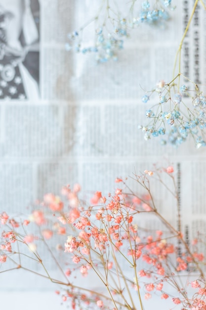 Trockene Blumen auf der Oberfläche der Zeitung, selektiver Fokus, Frühlingsstimmung