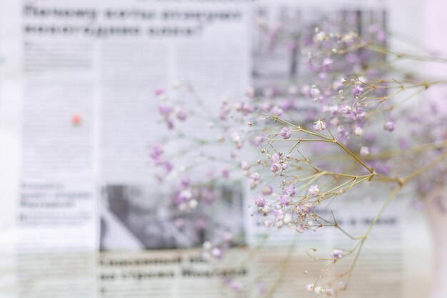 Trockene Blumen auf der Oberfläche der Zeitung, selektiver Fokus, Frühlingsstimmung