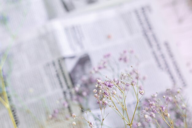 Trockene Blumen auf der Oberfläche der Zeitung, selektiver Fokus, Frühlingsstimmung