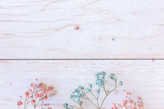 Trockene Blumen auf Holzoberfläche, selektiver Fokus, Frühlingsstimmung