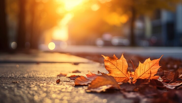 Trockene Herbstblätter in der Natur