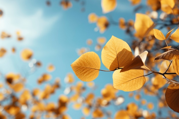 Kostenloses Foto trockene herbstblätter schweben mit himmelshintergrund