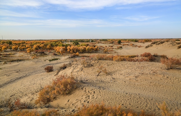 Kostenloses Foto trockene landschaft blick