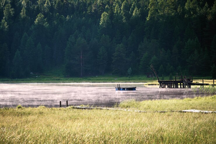 Kostenlose Foto trockenes grasfeld nahe dem wasser mit bäumen