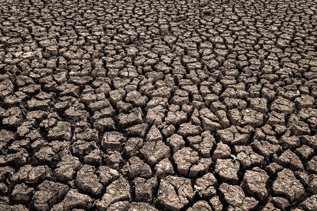 Trockenes Land mit trockenem und rissigem Boden, globale Erwärmung