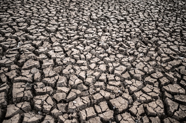 Kostenloses Foto trockenes land mit trockenem und rissigem boden, globale erwärmung