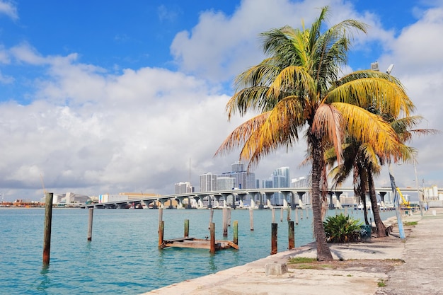 Kostenloses Foto tropische aussicht auf die stadt miami