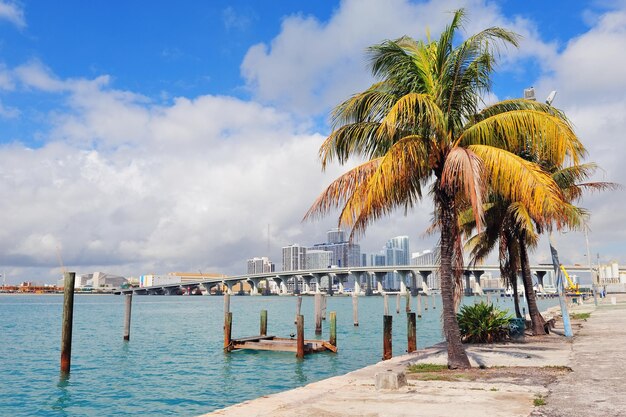 Tropische Aussicht auf die Stadt Miami