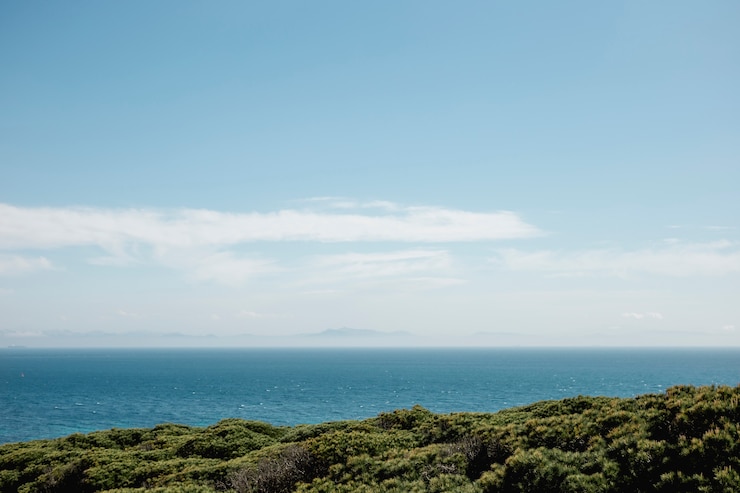 Kostenlose Foto tropische landschaft der insel mit ozean