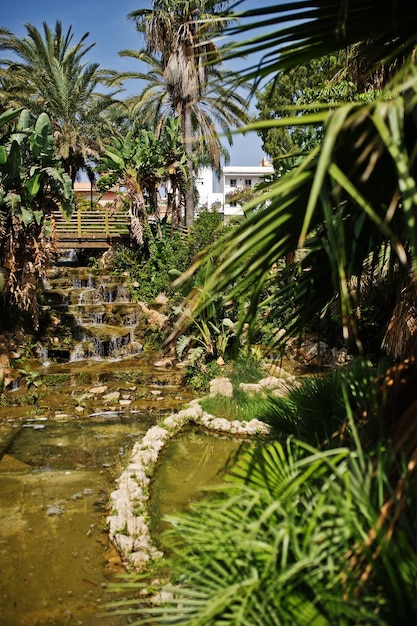 Kostenloses Foto tropischer garten mit einem kleinen künstlichen teich und palmen drumherum