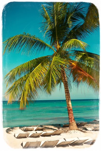 Tropischer Sommerstrand mit Palmenblattzweig-See- und Himmelhintergrund