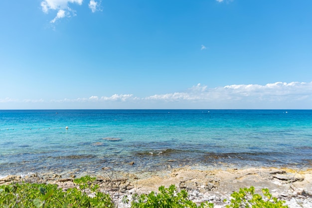 Kostenloses Foto tropischer strand an einem sonnigen tag