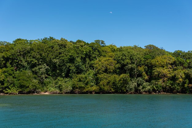 Tropischer Strand an einem sonnigen Tag