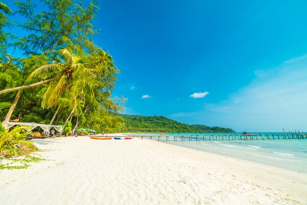 Tropischer Strand und Meer der schönen Natur mit KokosnussPalme auf Paradiesinsel