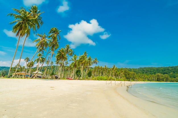 Tropischer Strand und Meer der schönen Natur