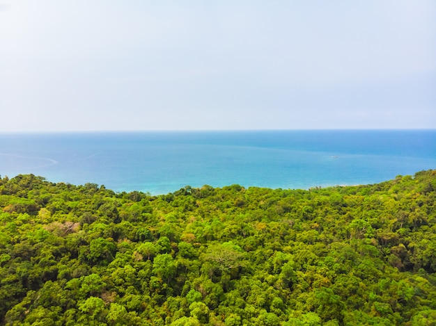 Tropischer Strand und Meer der schönen Natur