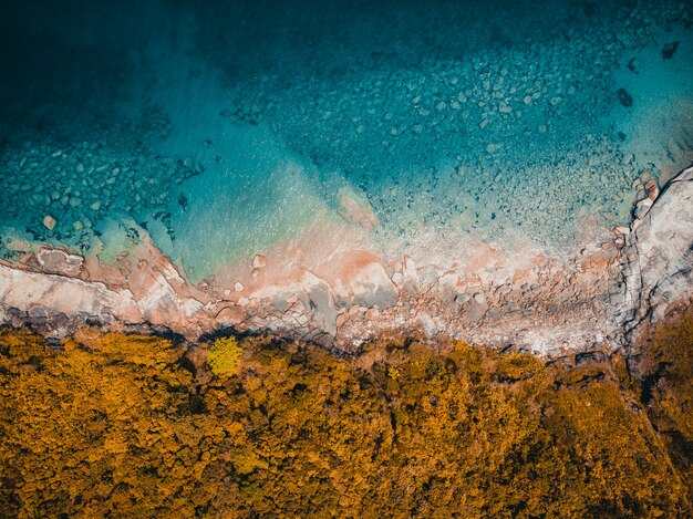 Tropischer Strand und Meer der schönen Natur