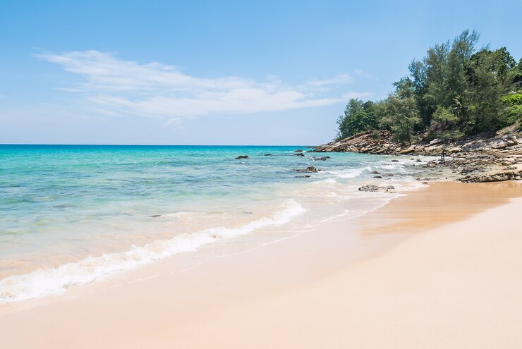 Kostenlose Foto tropischer strand