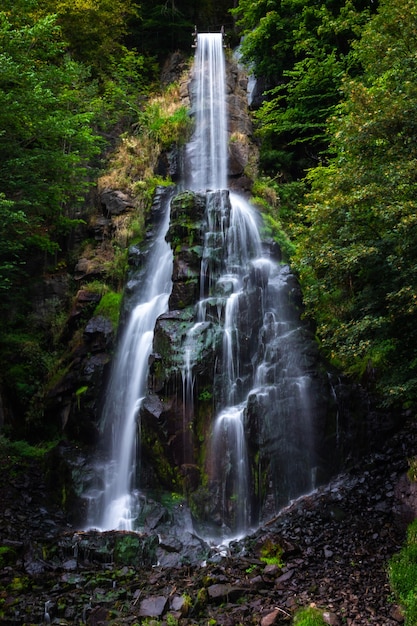 Trusetaler Wasserfall fließt durch den Wald in Deutschland